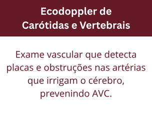 Inserir um título (19)