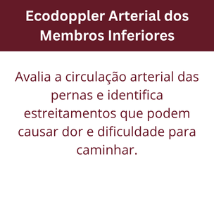 Inserir um título (27)